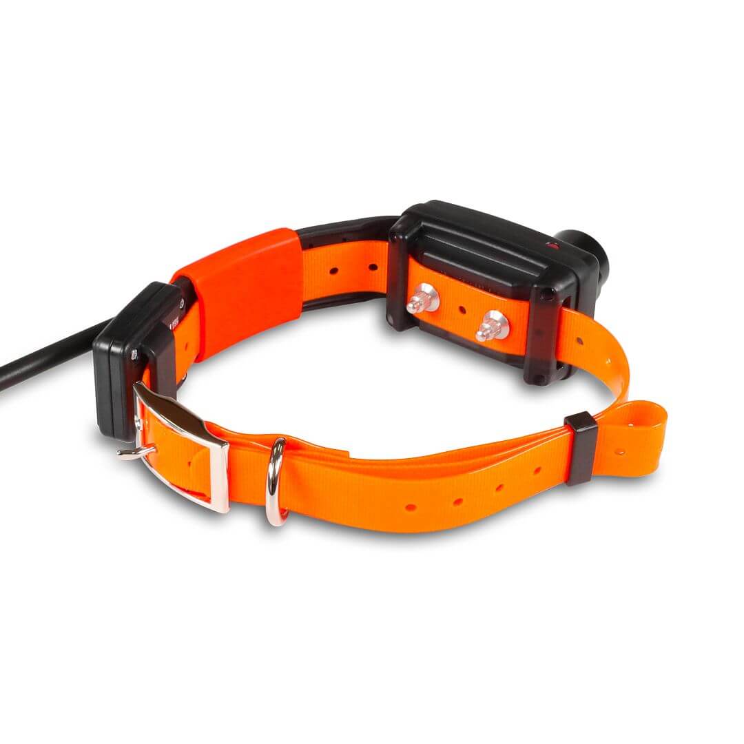 DOG GPS X25TB Short Professzionális helymeghatározó GPS nyakörv DOGTRACE (3) DOG GPS X25TB Short Professzionális helymeghatározó GPS nyakörv DOGTRACE (3)