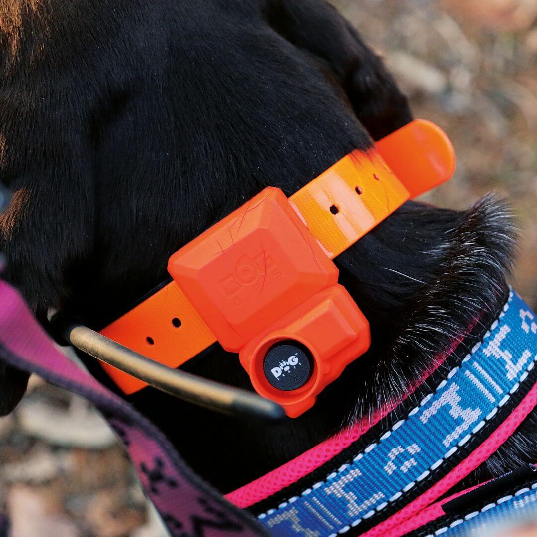 dogtrace-8648-2 DOG GPS X40B, gyári részletfotó 2