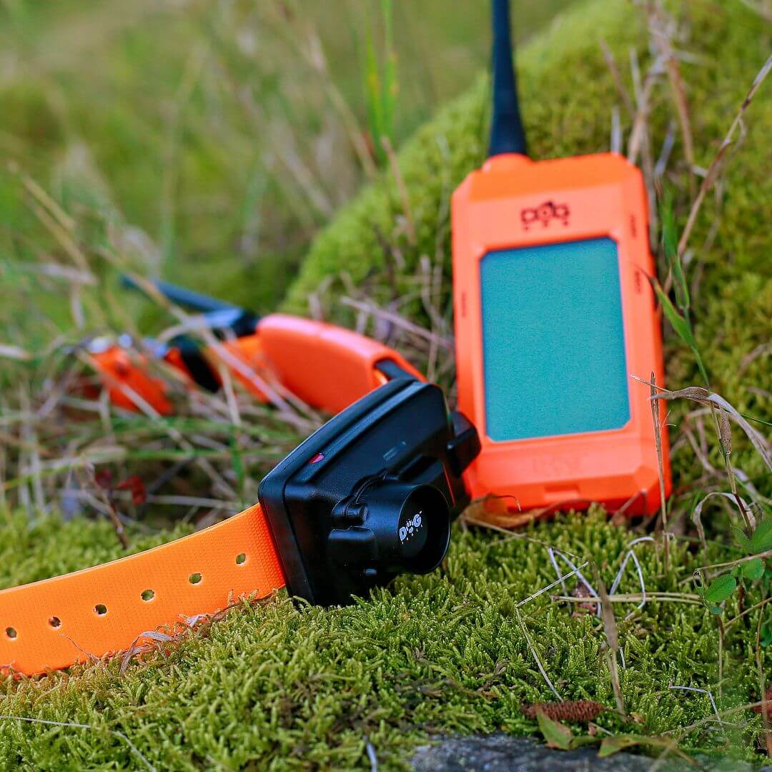 dogtrace-8565-7 DOG GPS X25B Short, gyári részletfotó 7