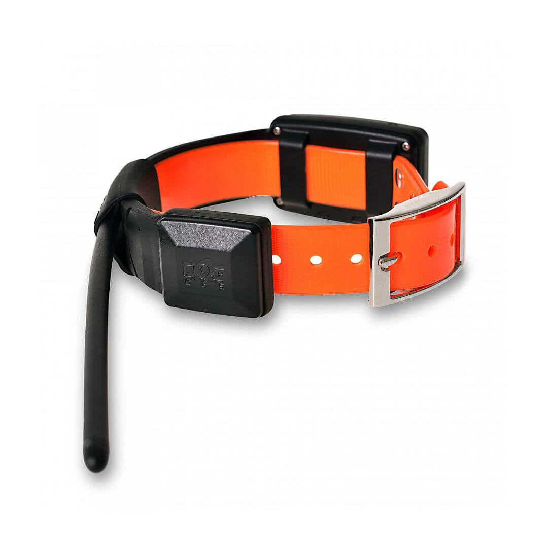 dogtrace-6077-3 DOG GPS X30 Short, gyári részletfotó 3