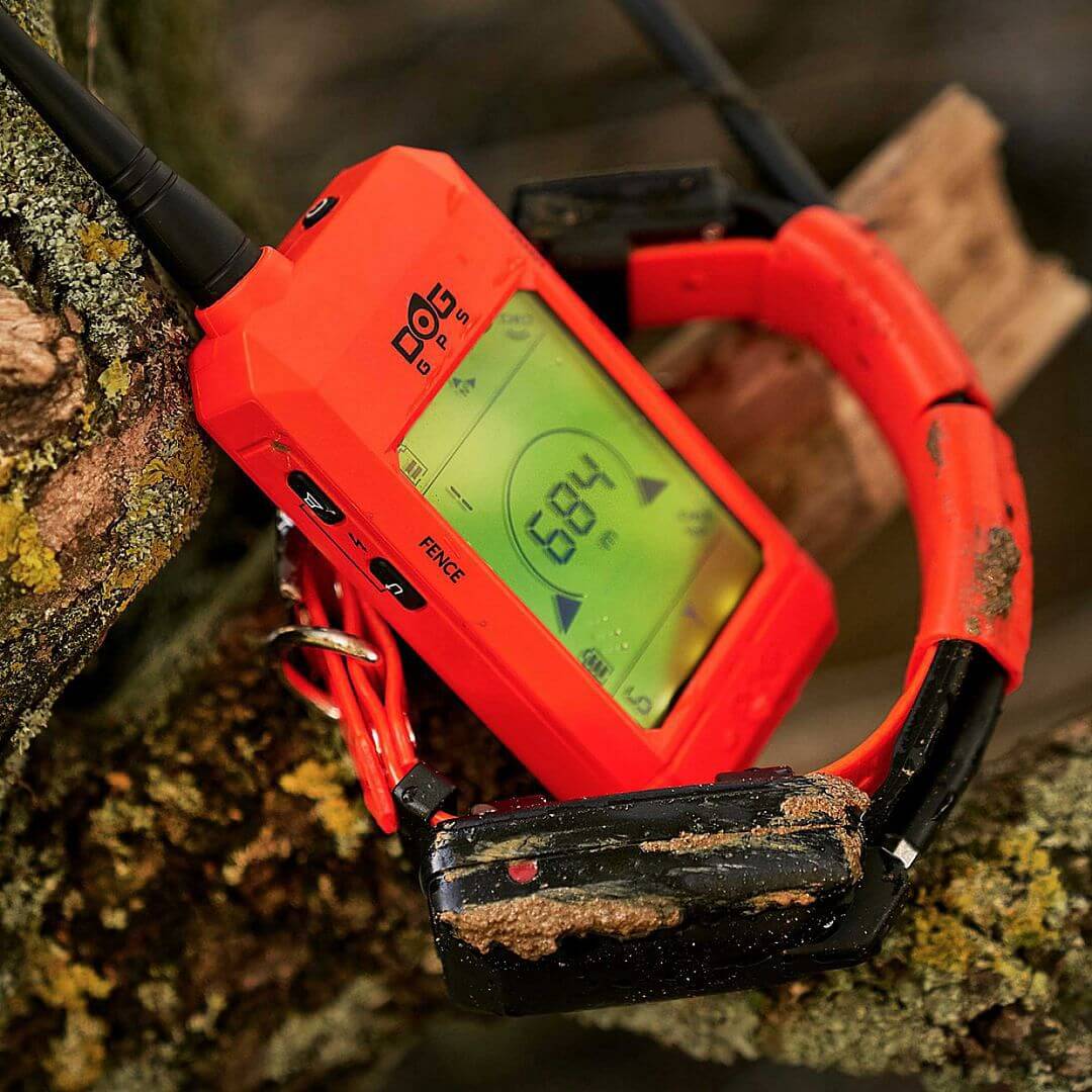 dogtrace-6077-7 DOG GPS X30 Short, gyári részletfotó 7