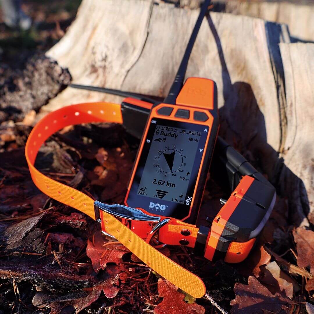 dogtrace-8591-4 DOG GPS X40T, gyári részletfotó 4