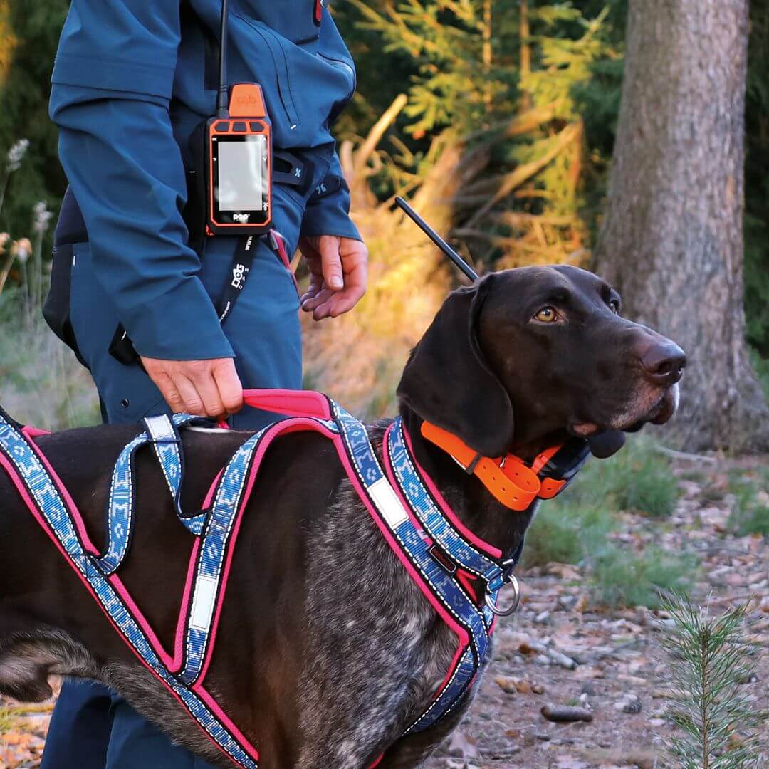 dogtrace-8648-4 DOG GPS X40B, gyári részletfotó 4
