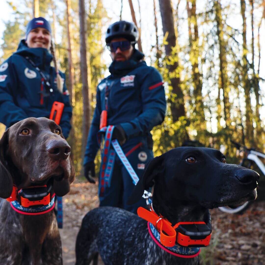 dogtrace-8591-3 DOG GPS X40T, gyári részletfotó 3