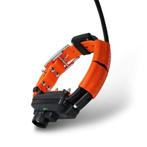 DOG GPS X25TB, gyári termékfotó