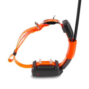 DOG GPS X25T Short, gyári termékfotó