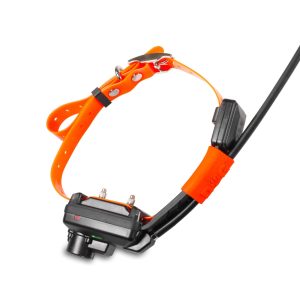 DOG GPS X25TB Short, gyári termékfotó
