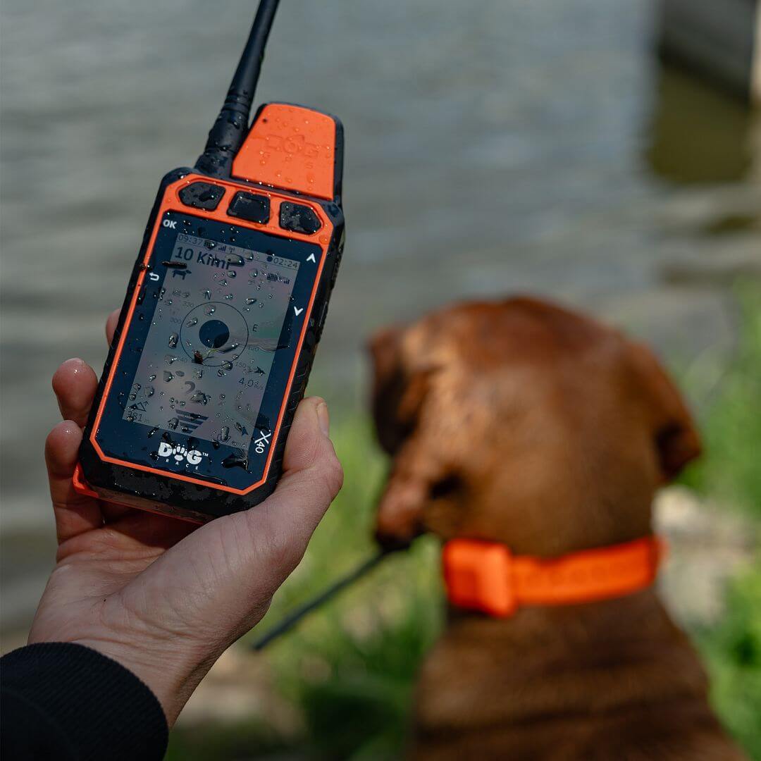 dogtrace-8648-12 DOG GPS X40B, gyári részletfotó 12